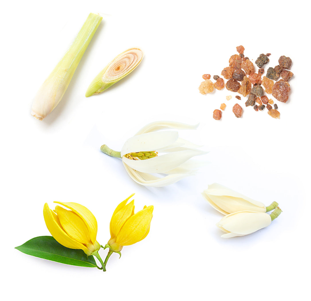 Doterra sun ásványi fényvédő spray testre mi van benne