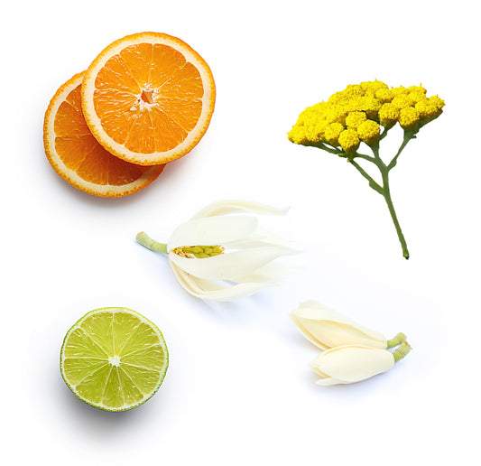 leaveinconditioner whats inside 1085x1050 eu