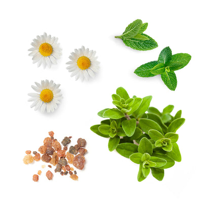 pasttense whats inside 1085x1050 eu