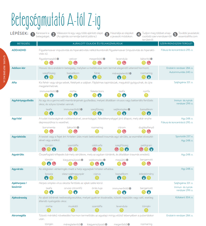 esszencialis elet betekinto
