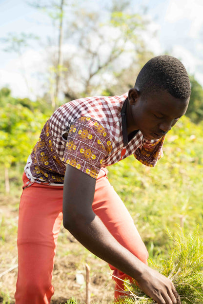 Doterra Teafa (Tea tree) illóolaj 15 ml