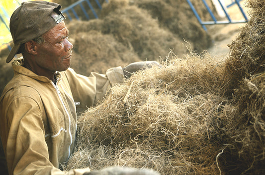 vetiver sourcing 1050x693 eu