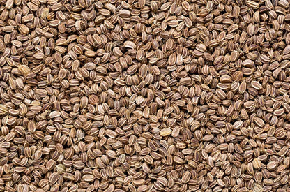 zellermag - celery seed