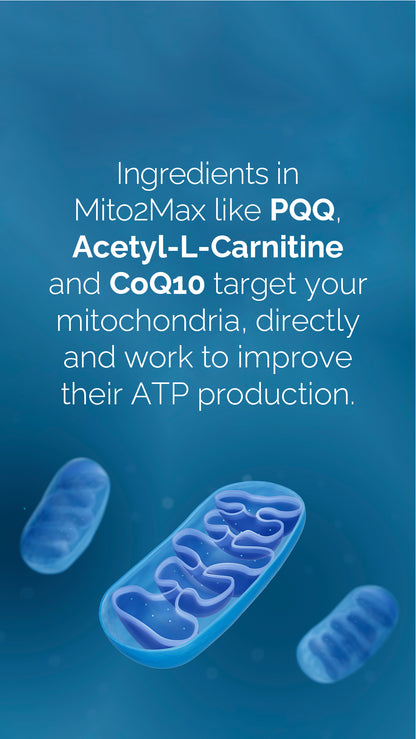 Doterra MetaPWR Mito2max zöldségkapszula