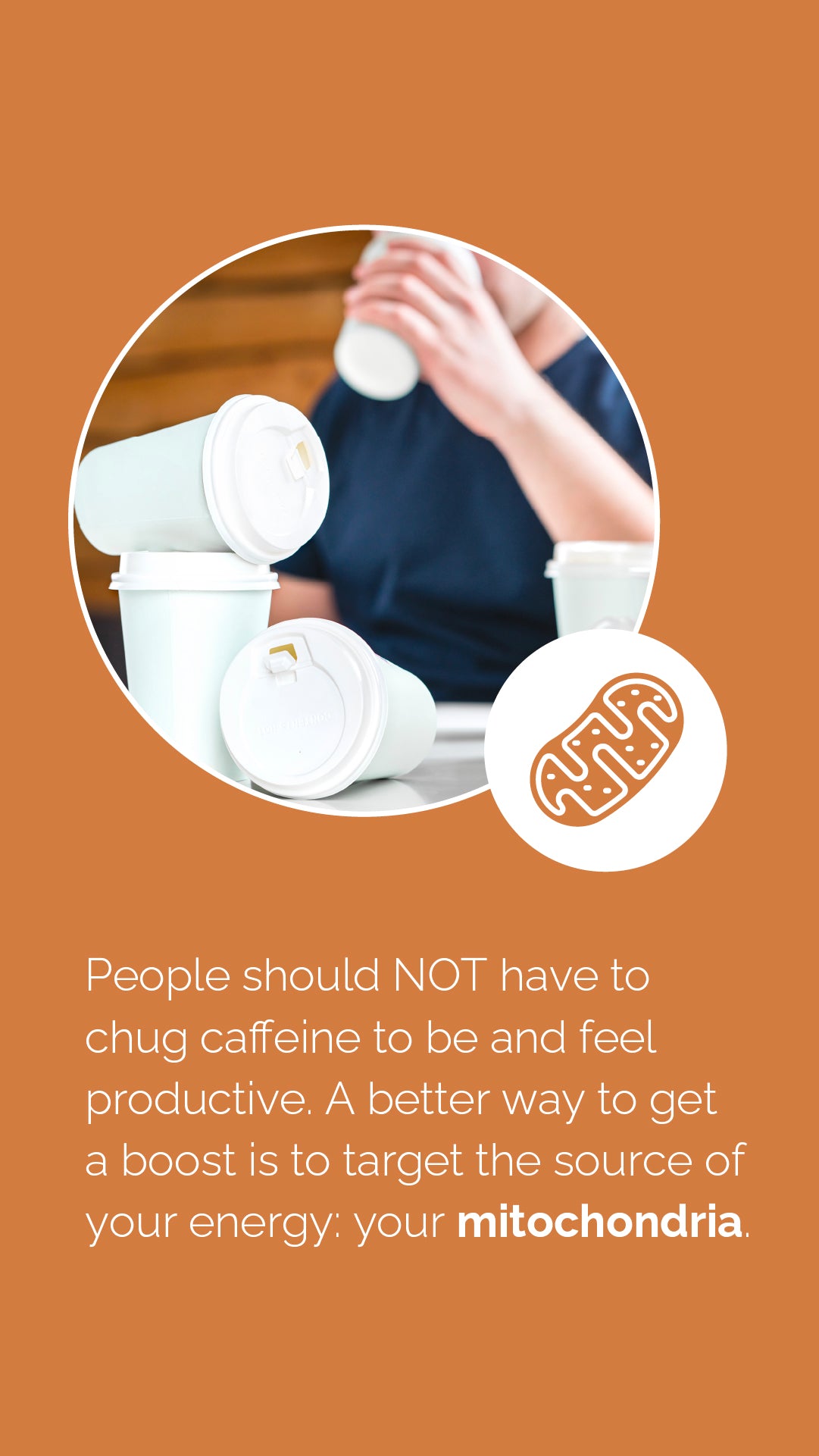 Doterra MetaPWR Mito2max zöldségkapszula